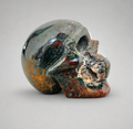 824g Bloodstone skull crystal carving with green and red inclusions
